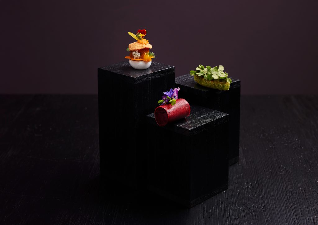 Karotte / Mirabelle / Mädesüß