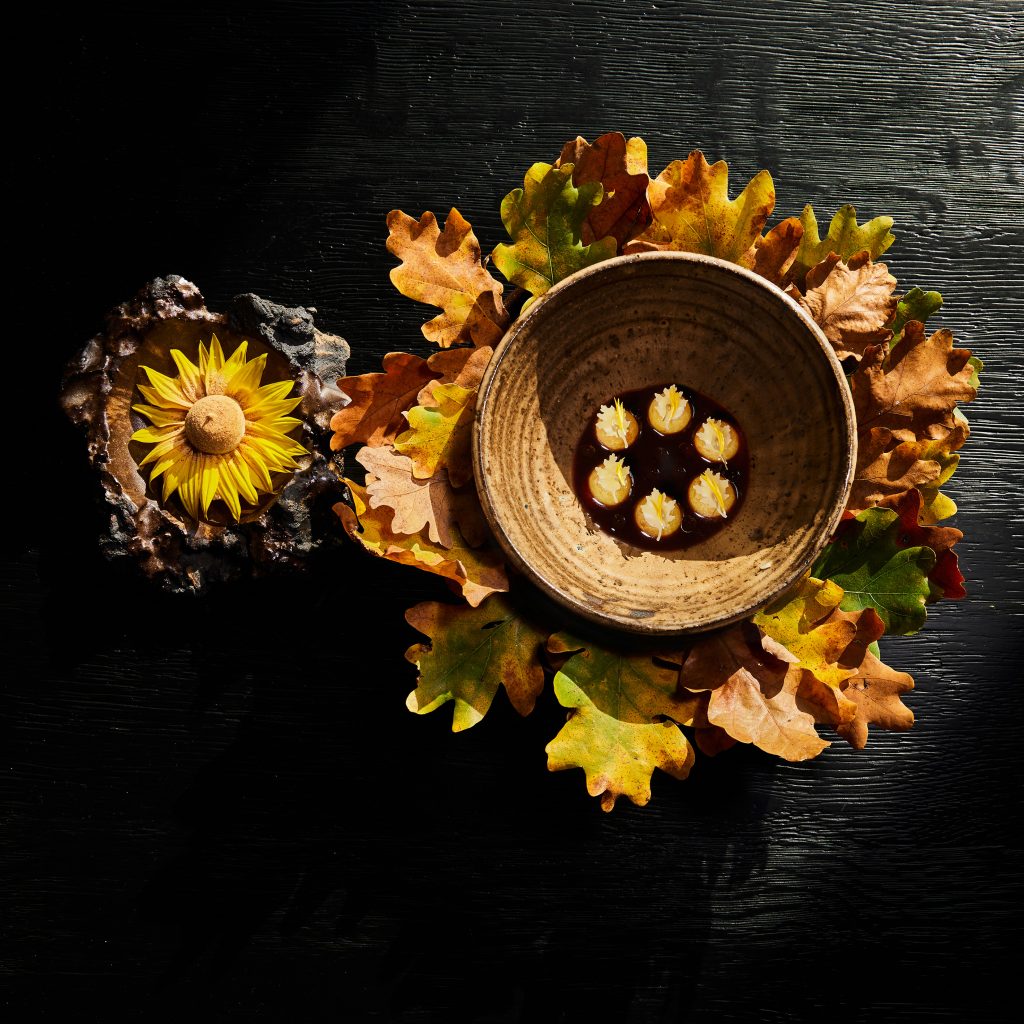 Kartoffel / Sonnenblume / Eichenlaub